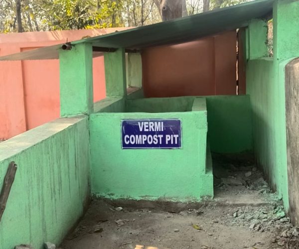 Vermi compost pit